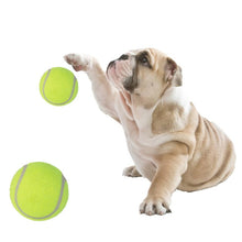 Load image into Gallery viewer, Tennis Ball Toy No Elasticity 63mm kids Pet Chew Toy Run Fetch Throw Play ball