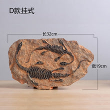 Load image into Gallery viewer, Retro dinosaur fossil resin statue wall hanging,Jurassic dinosaur skull sculpture as faux taxidermy, Home decoration accessories