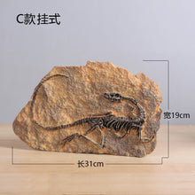 Load image into Gallery viewer, Retro dinosaur fossil resin statue wall hanging,Jurassic dinosaur skull sculpture as faux taxidermy, Home decoration accessories